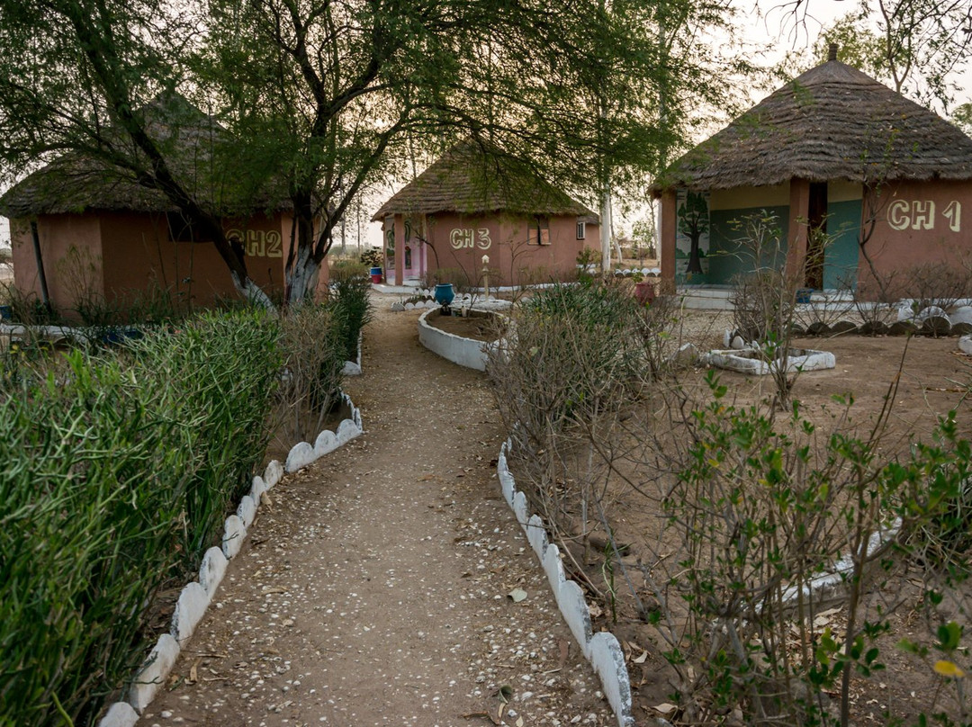 Les Calaos du Saloum