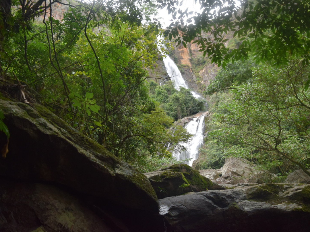 Parque Nacional da Serra da Canastra景点图片