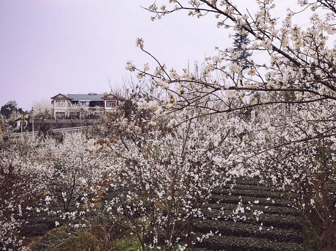 蒲江嘉年CEO度假酒店大溪谷店主图