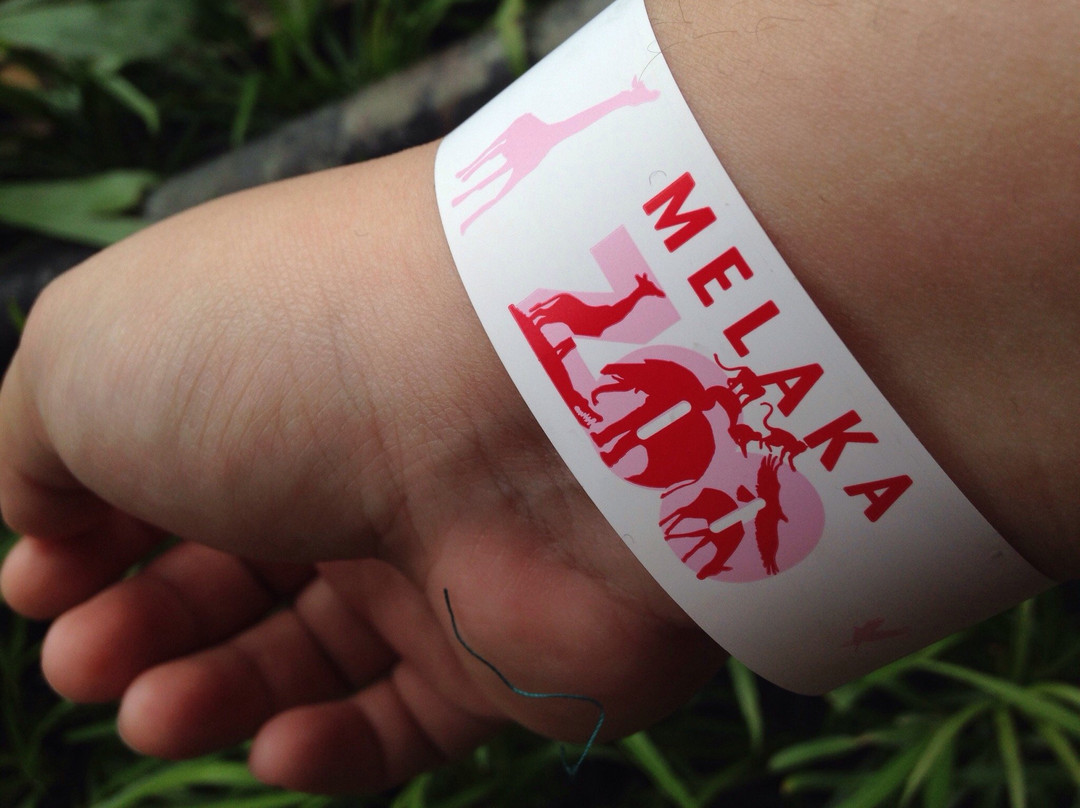 Zoo Melaka-爱极乐必去景点