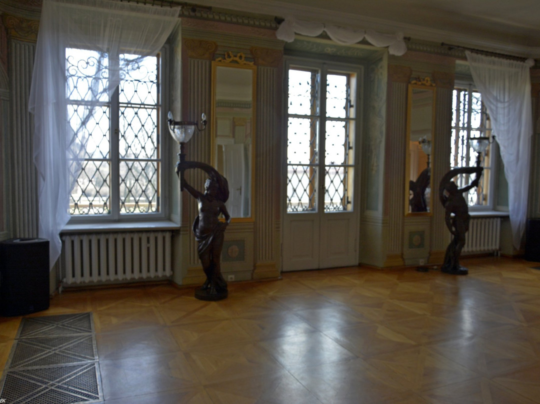 Zaglebie Museum景点图片
