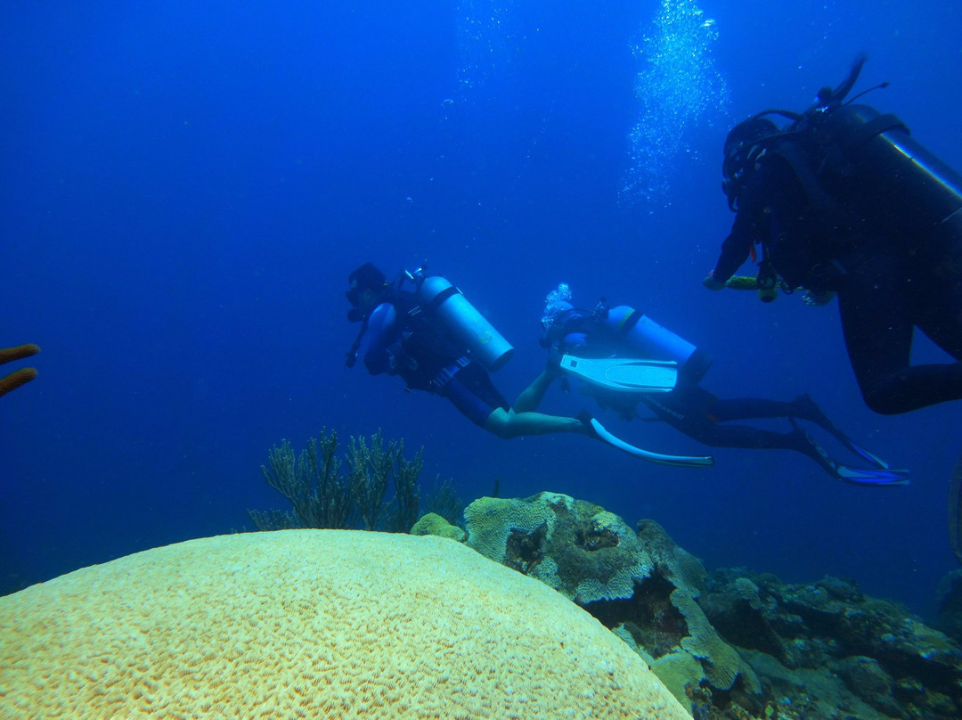Scubatec PADI Dive Center景点图片