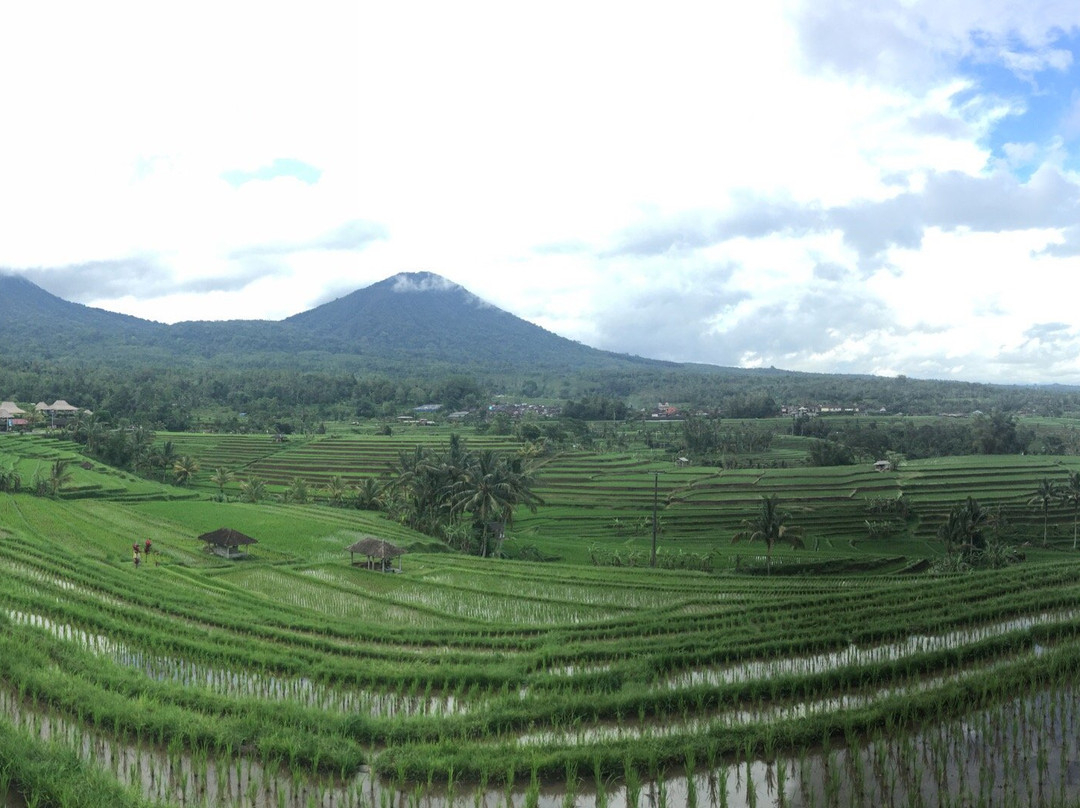 Teddy's Tours-孟格威必去景点