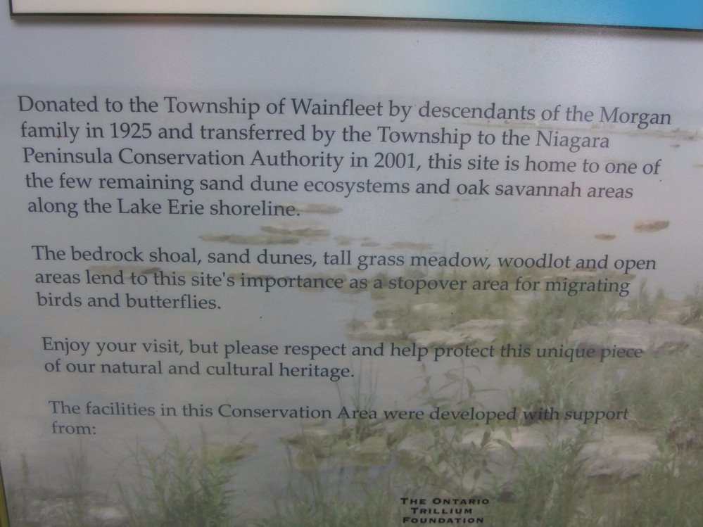 Morgan's Point Conservation Area-Wainfleet必去景点