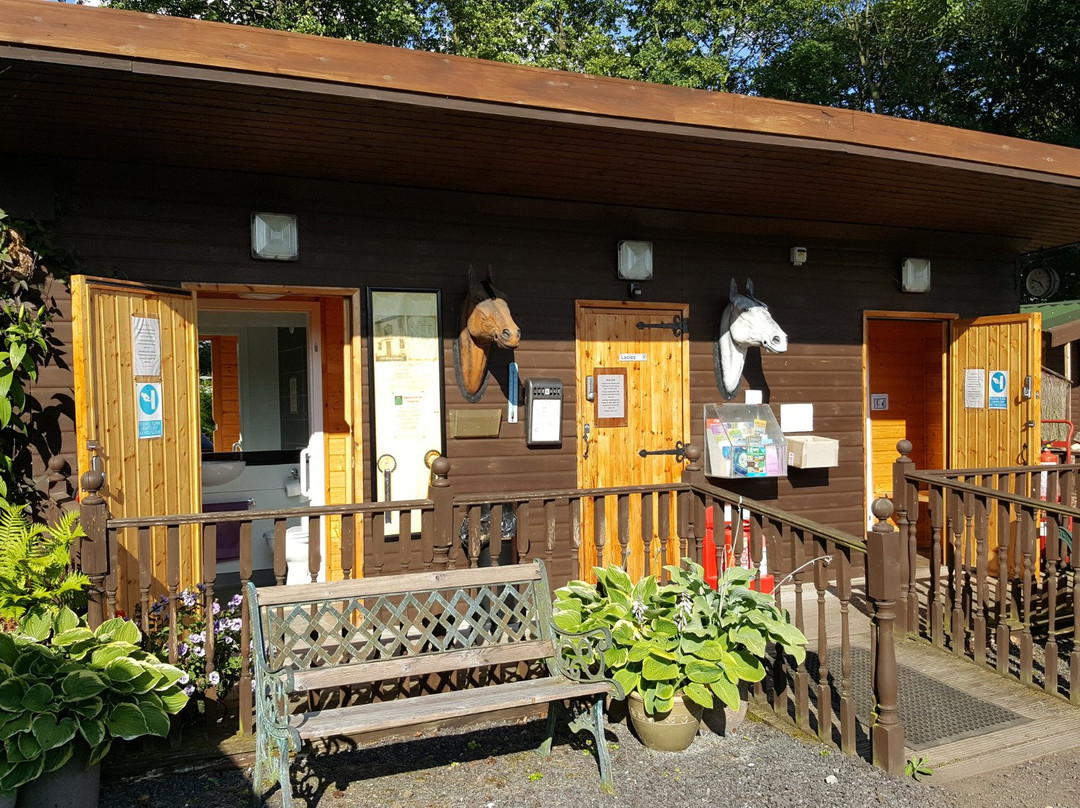 Conifer Lake Caravan & Camping