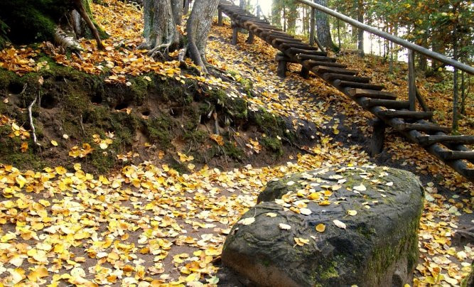 Dobele旅游景点-Pokaiņi Forest