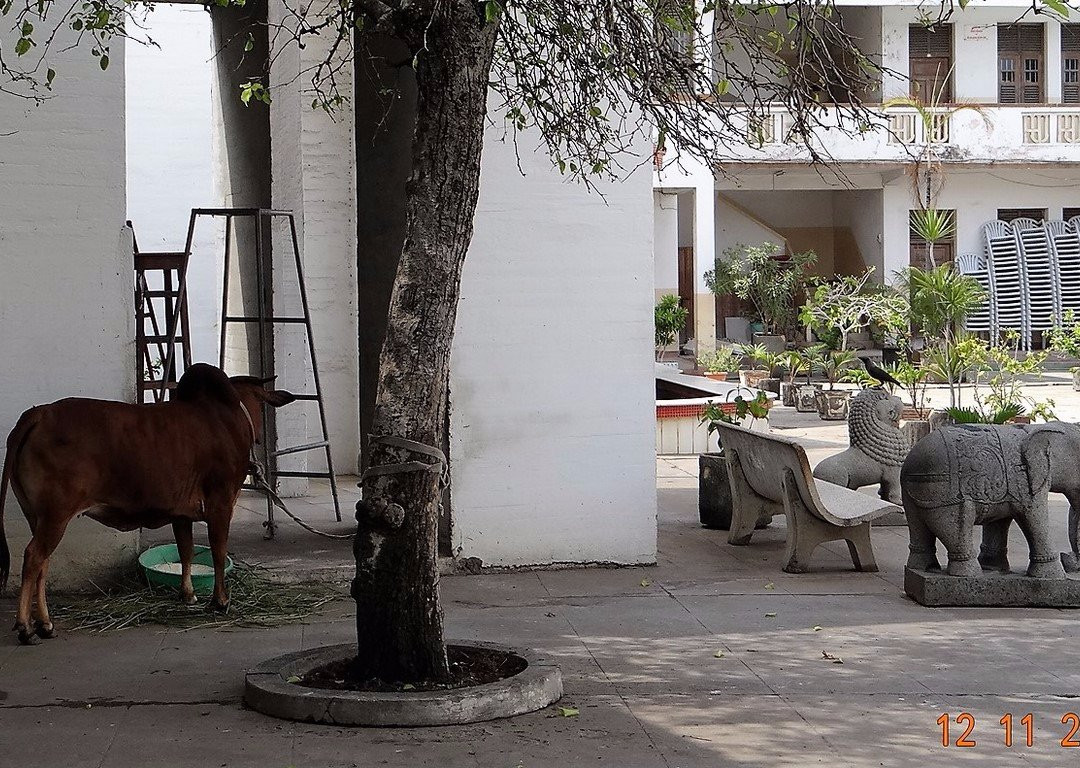 Shiva Temple-蒙巴萨必去景点