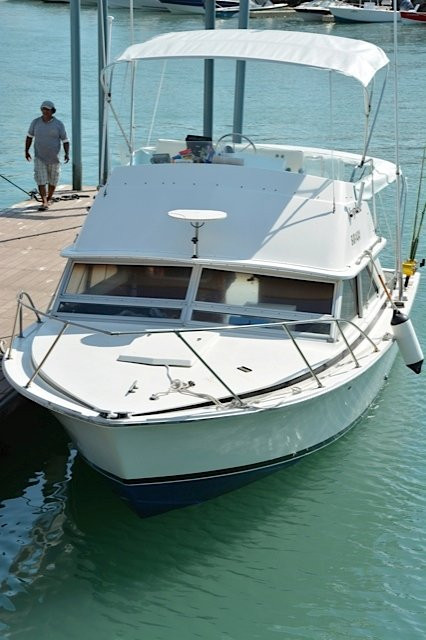 Bluemarlin Fishing Charters景点图片