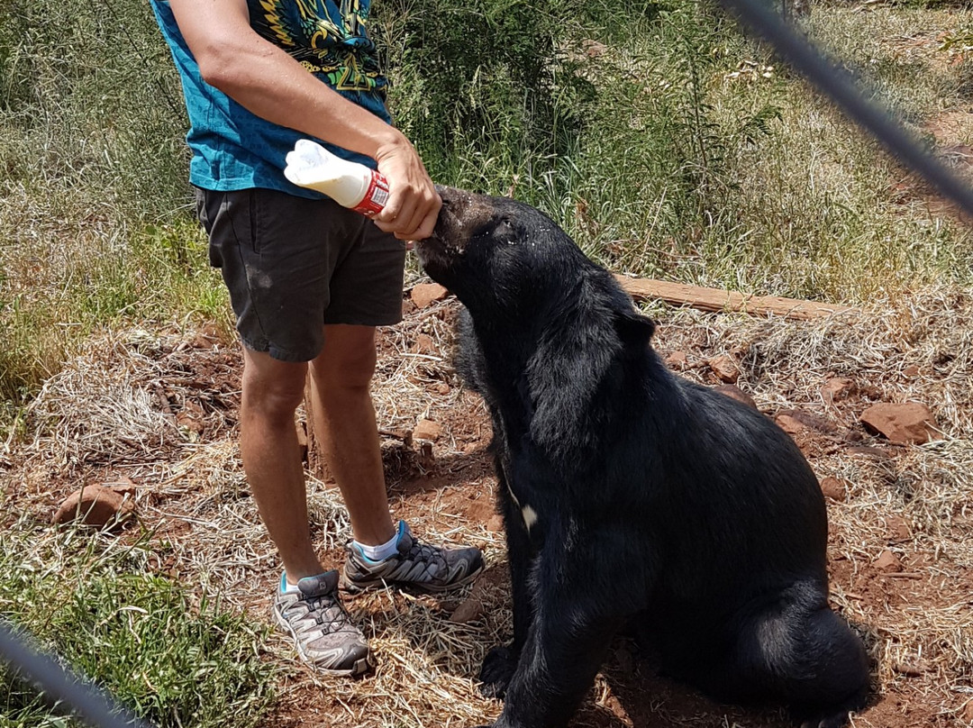 MBIDI Resort & Animal Sanctuary-米德尔堡必去景点