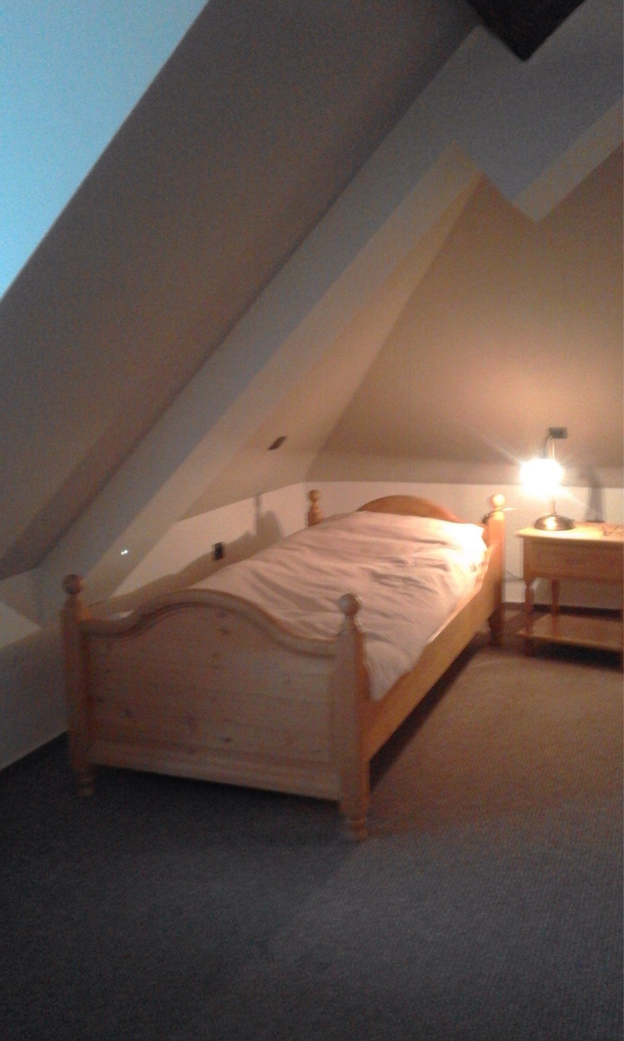 Pension Thüringer Hof-官方