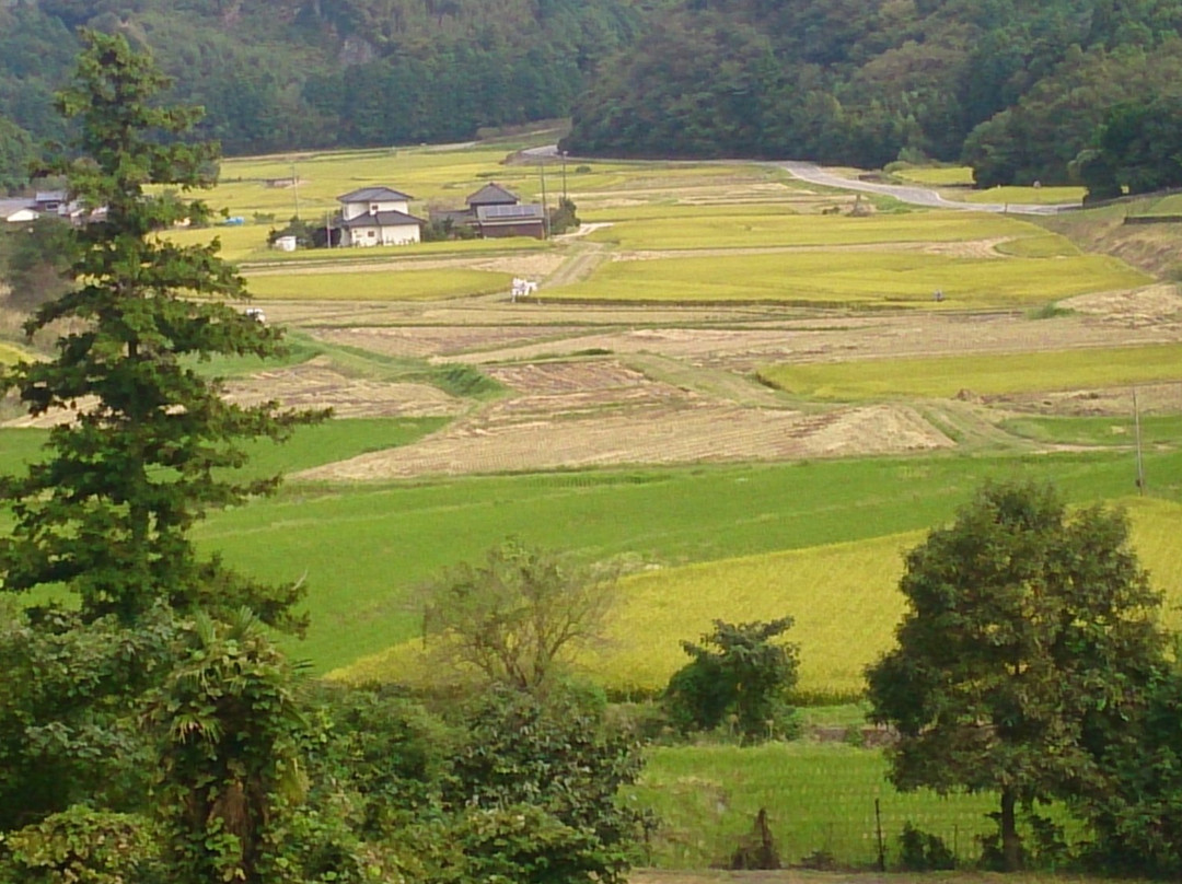 Tashibunosho Kosaki景点图片