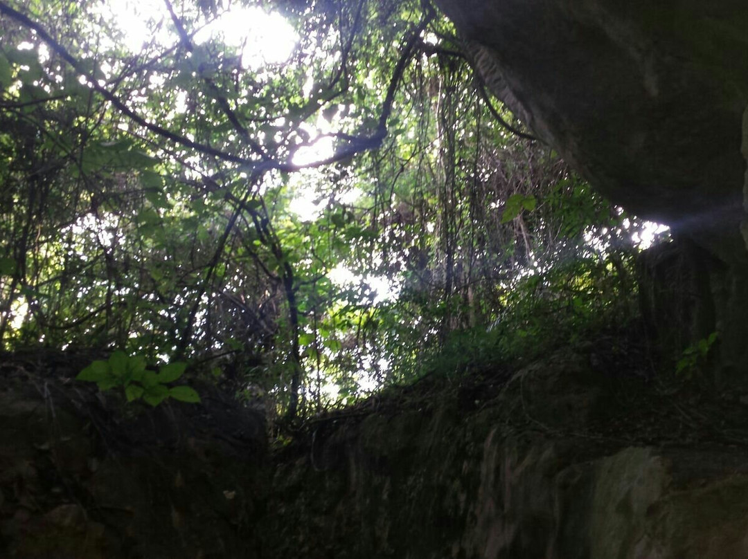 Cuevas del Pomier-San Cristobal必去景点