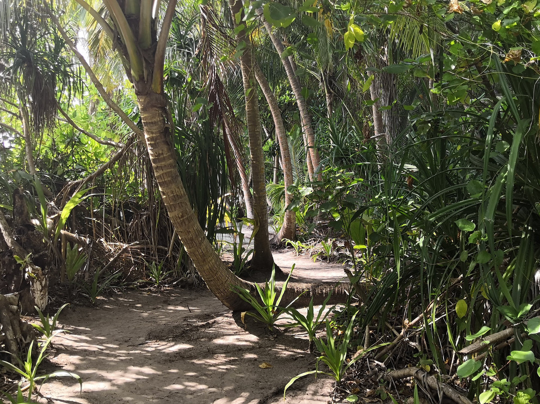 White Lagoon Fehendhoo主图