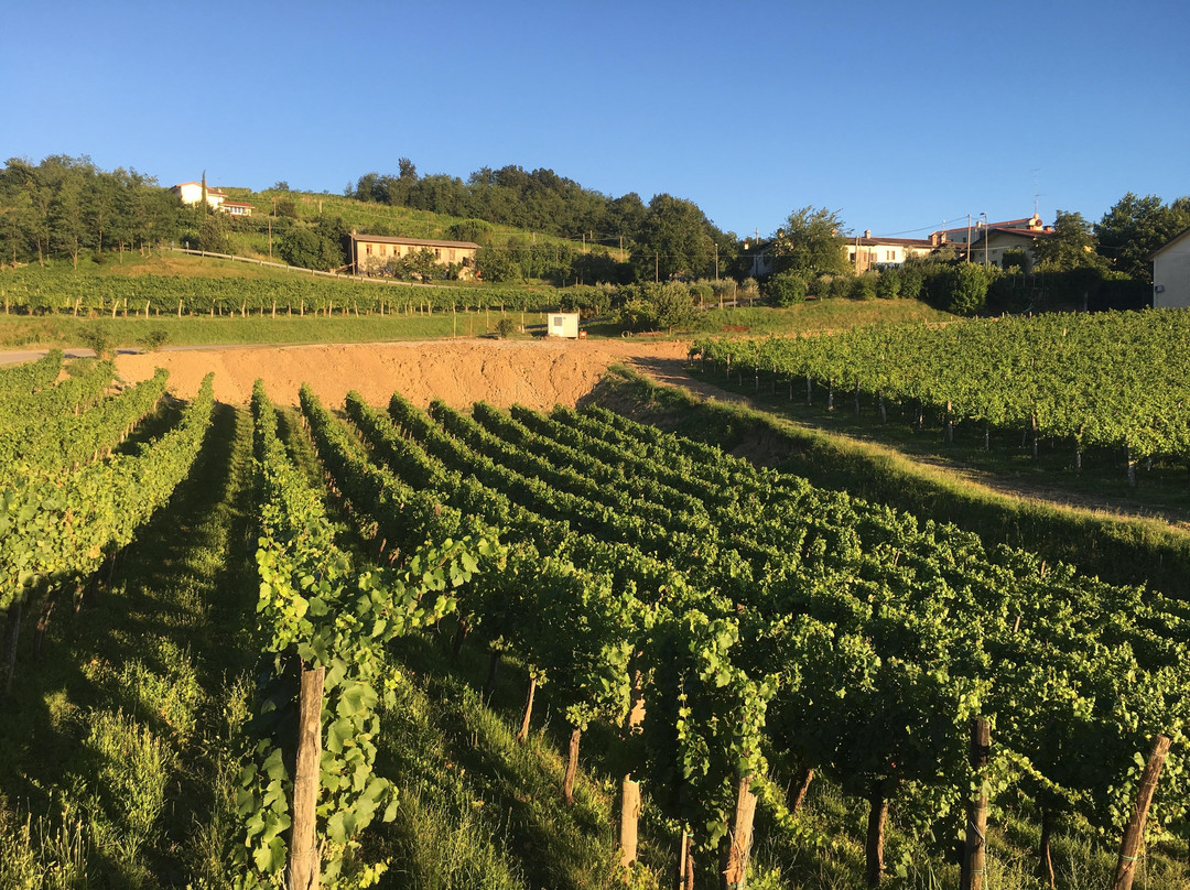 Vino e Sapori FVG-乌迪内必去景点