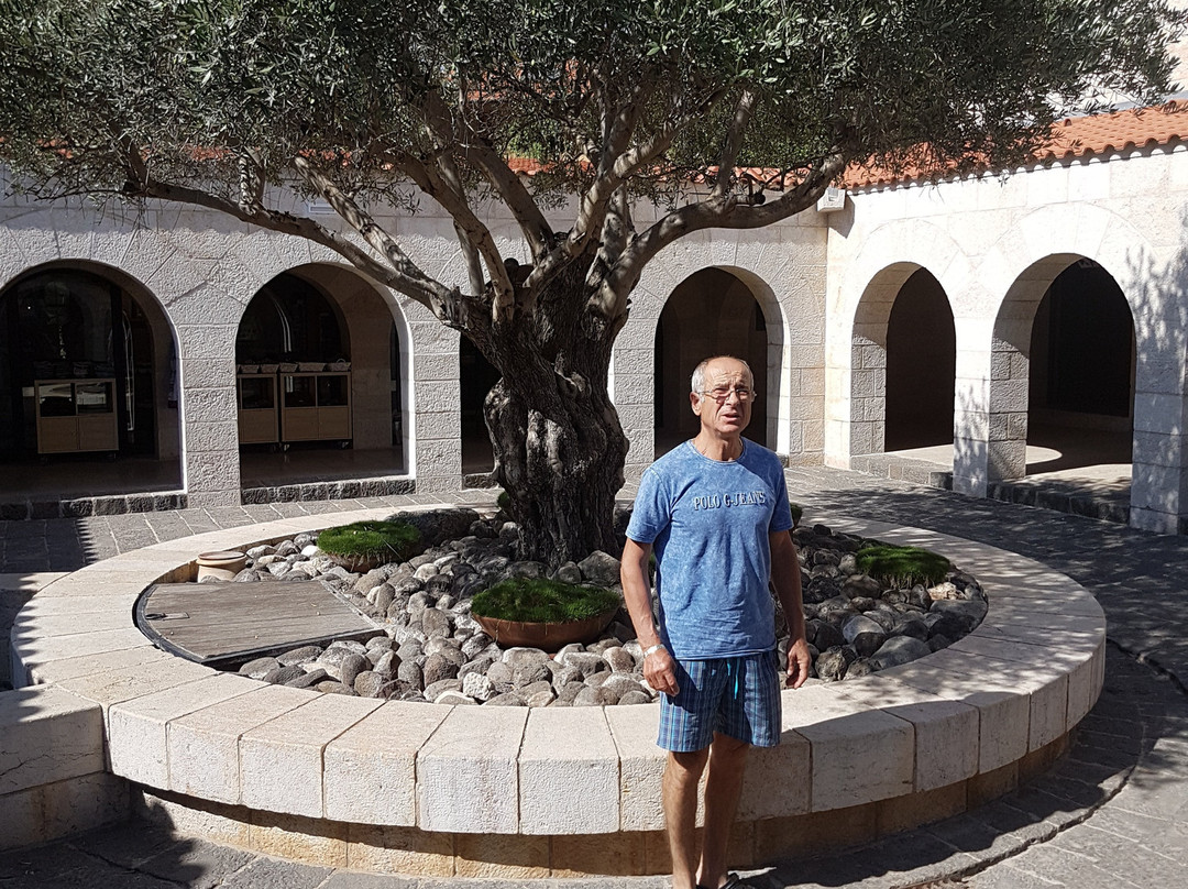 BIG Kiryat Shmona景点图片