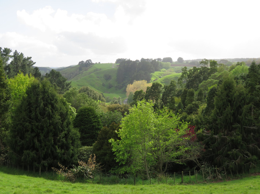 Puketarata Garden景点图片