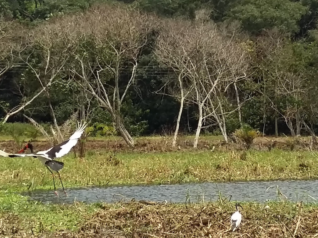 Buggala Island-Ssese Islands必去景点