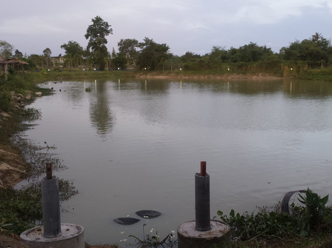 Freddie's Fishing Park