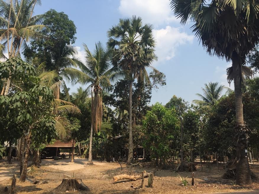 Angkor Taxi and TukTuk driver-暹粒必去景点