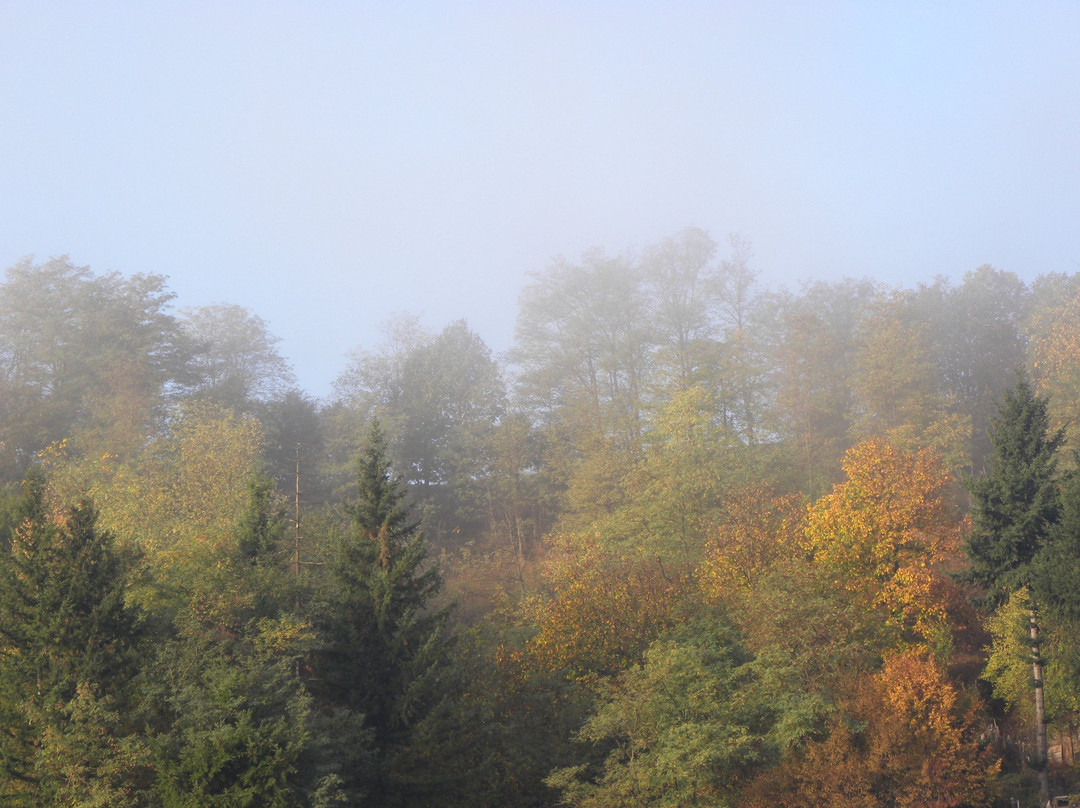 Guest House Byalata Kashta主图