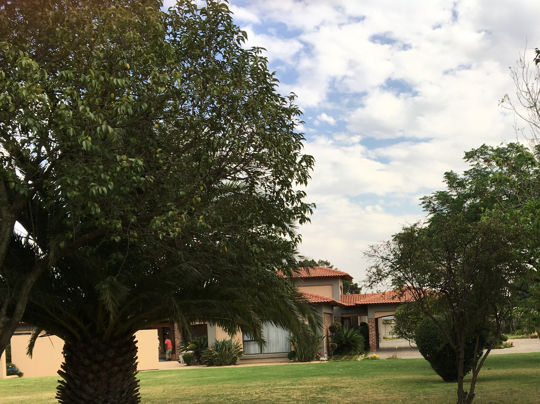 Raintree Guest House