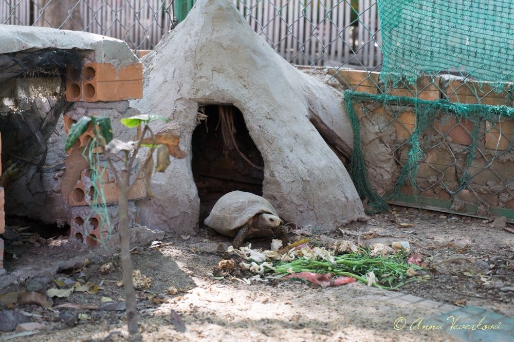 Mekong Turtle Conservation Center-Kratie必去景点