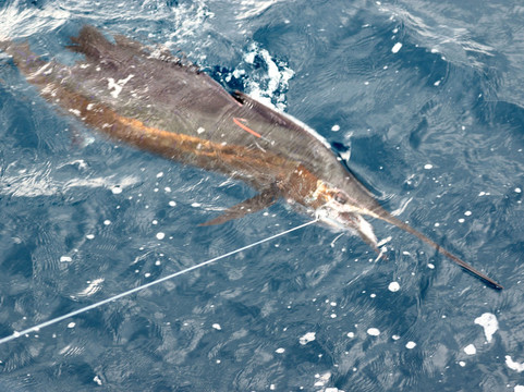 Makaira Adventure-Santo Antonio必去景点