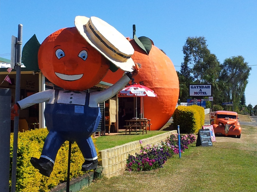 Mount Perry旅游景点-Gayndah's Big Orange