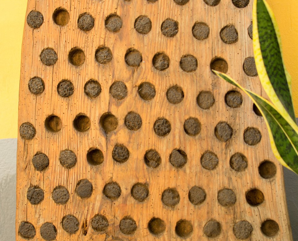 Tabacos Arturo景点图片