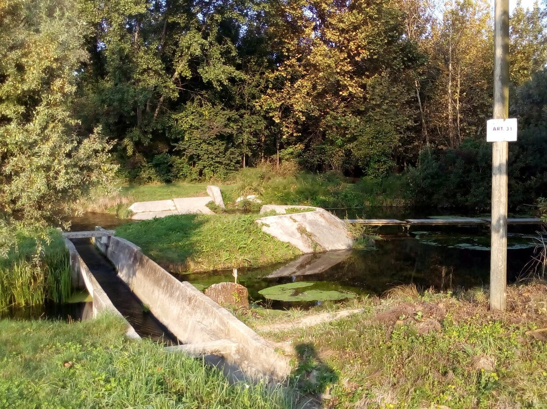 Parco Palude di Onara景点图片