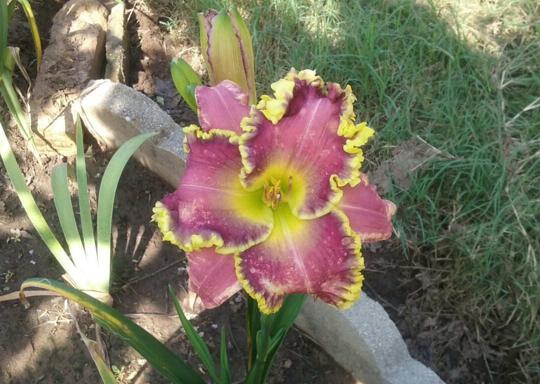 Karma Farms-Marshall必去景点