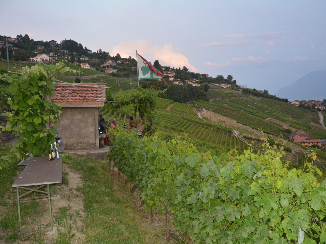 Alain Chollet Winery-吕特里必去景点