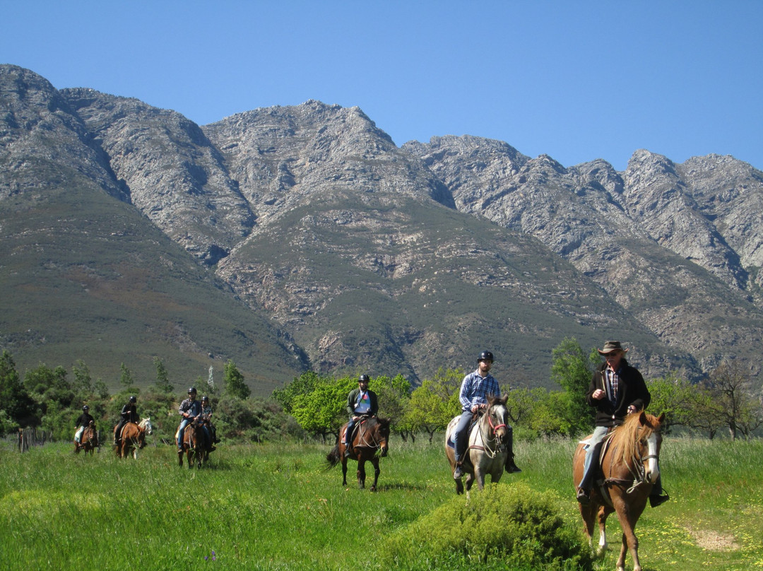 Horse About Trails景点图片