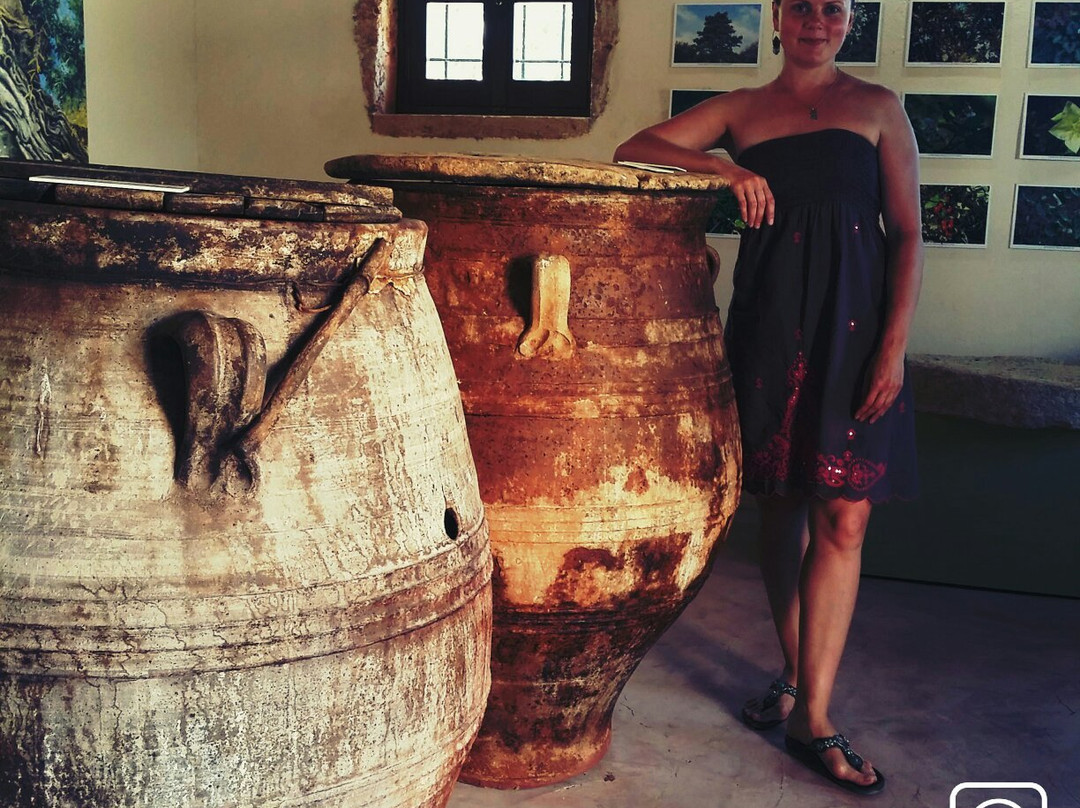 Olive Tree Museum-Vouves必去景点