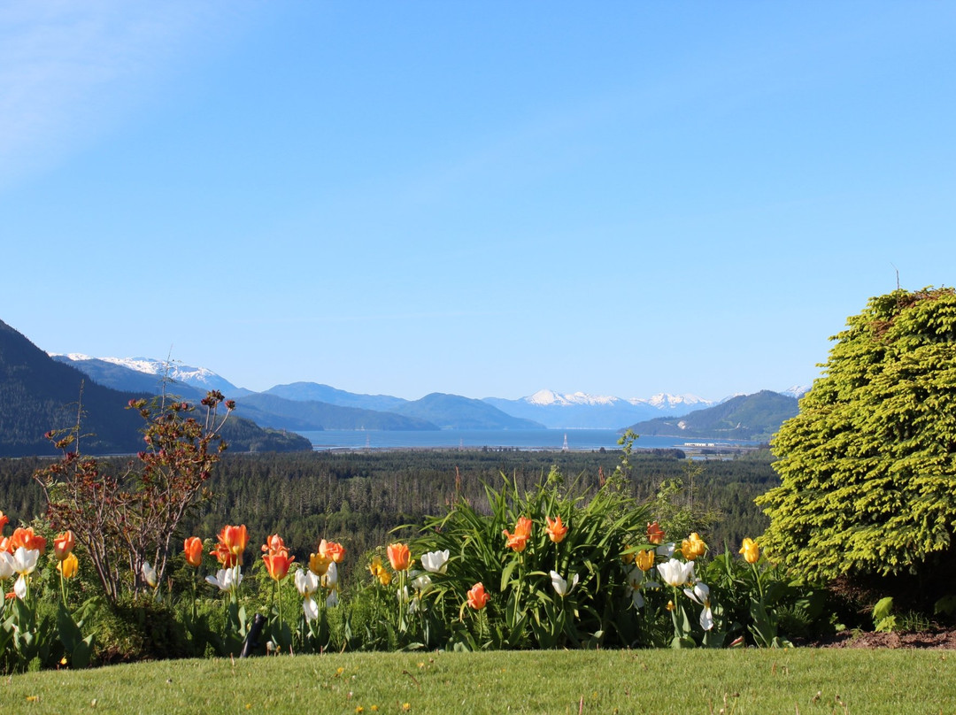Coghlin Park View Point-Kitimat必去景点