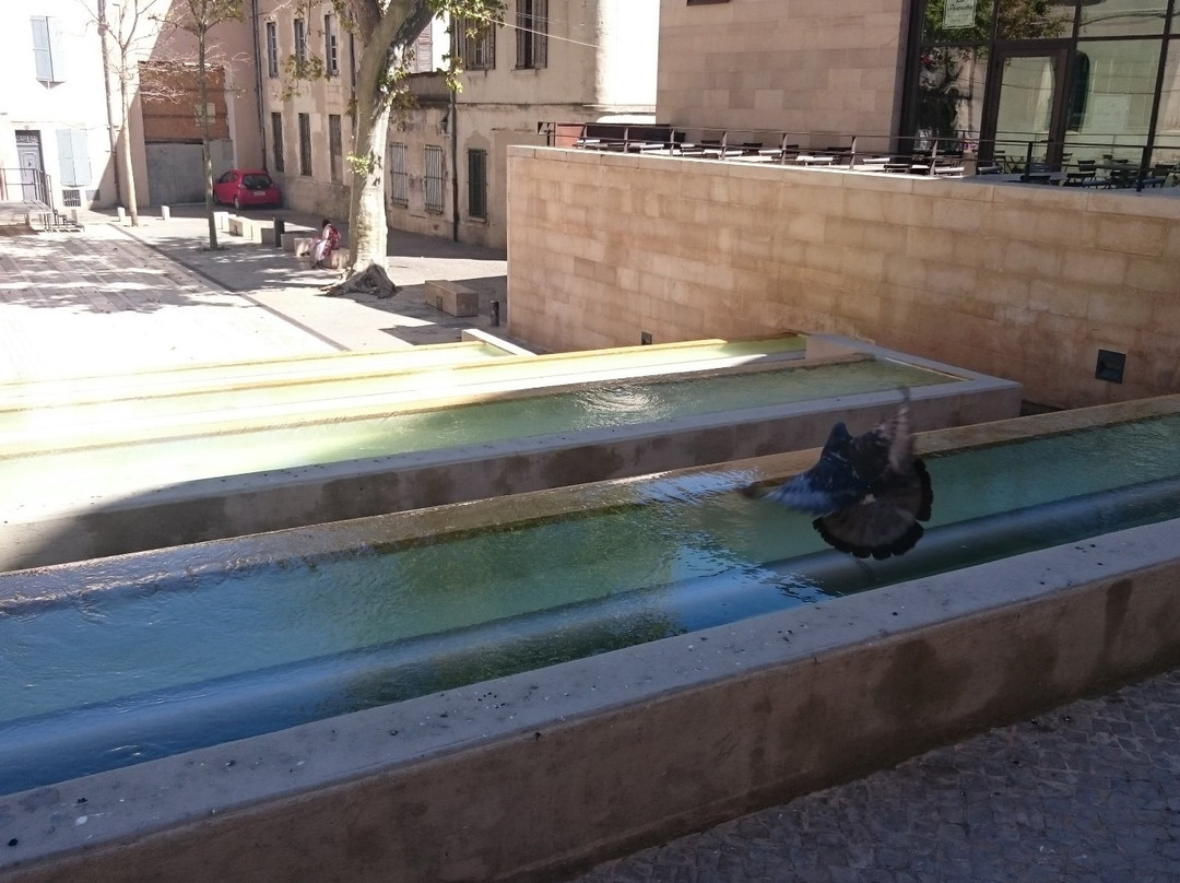 Musee du Vieux Nimes-尼姆必去景点