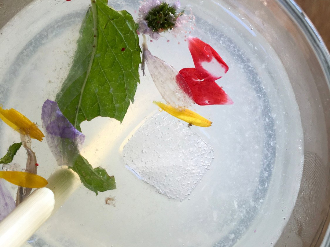 Wild Herbs of Crete景点图片