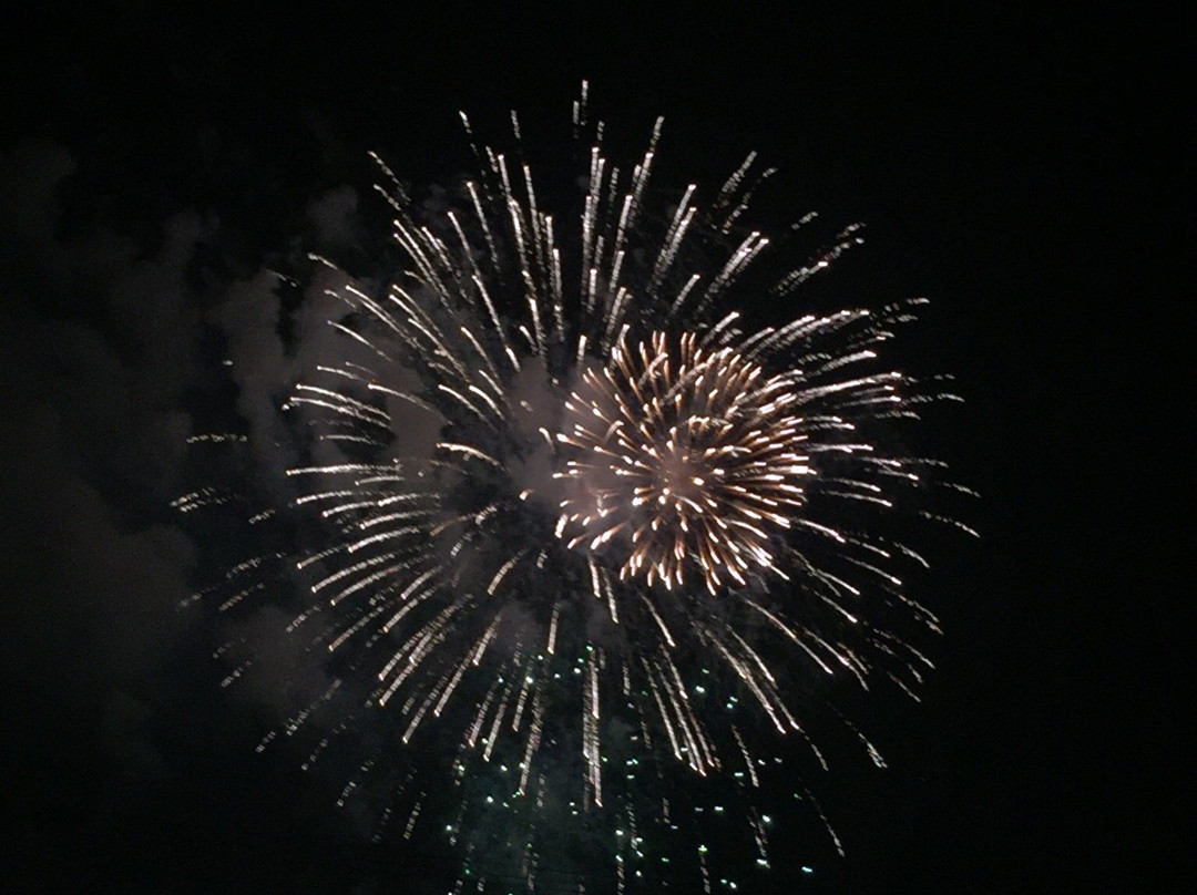 Nishio Yonezu River Festival-西尾市必去景点