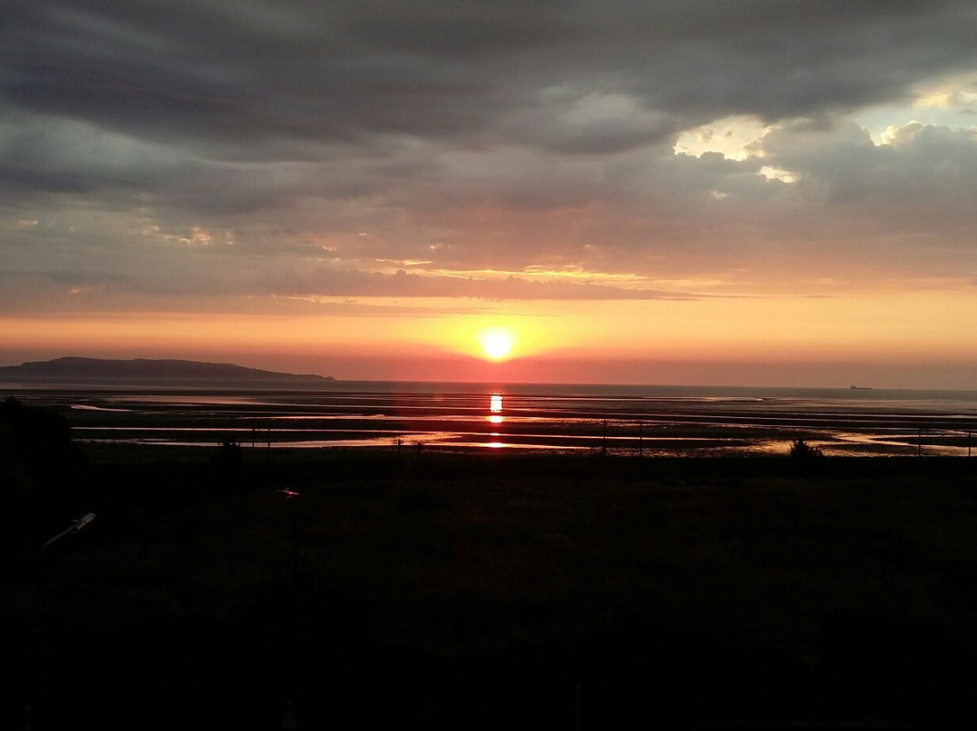 Booterstown Bird Sanctuary-都柏林必去景点
