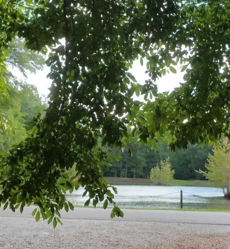 Hays Nature Preserve-亨茨维尔必去景点