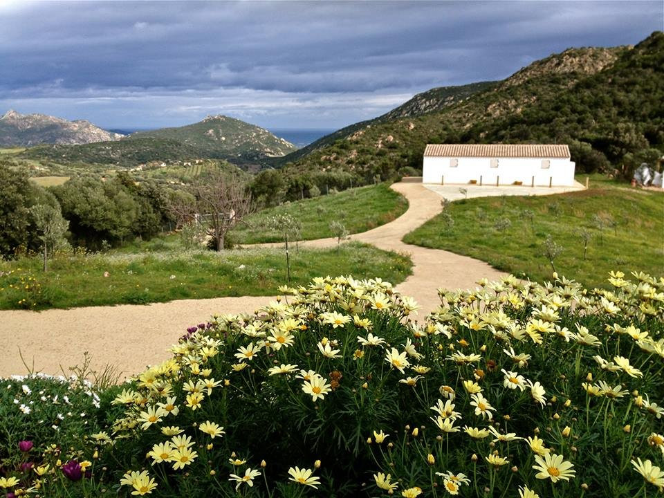 La Collina del Vento