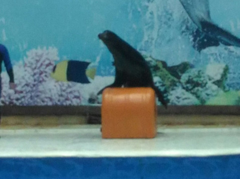 南京海底世界-南京市必去景点