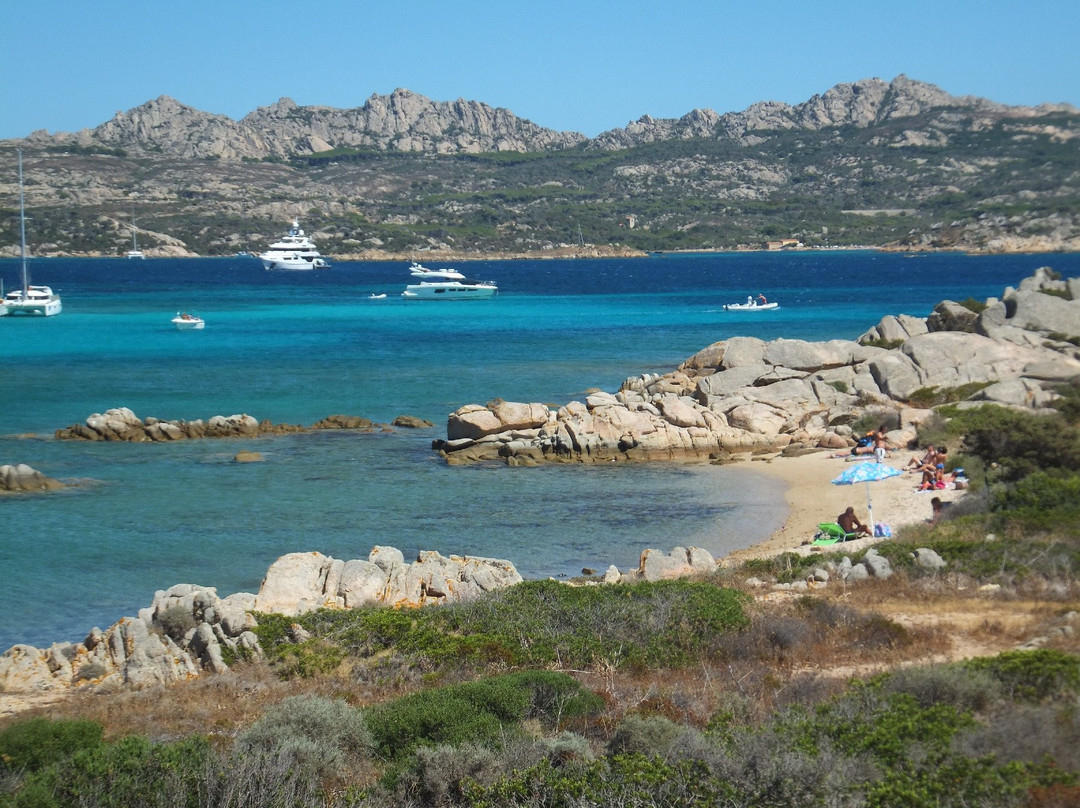 Spiaggia Testa di Polpo景点图片