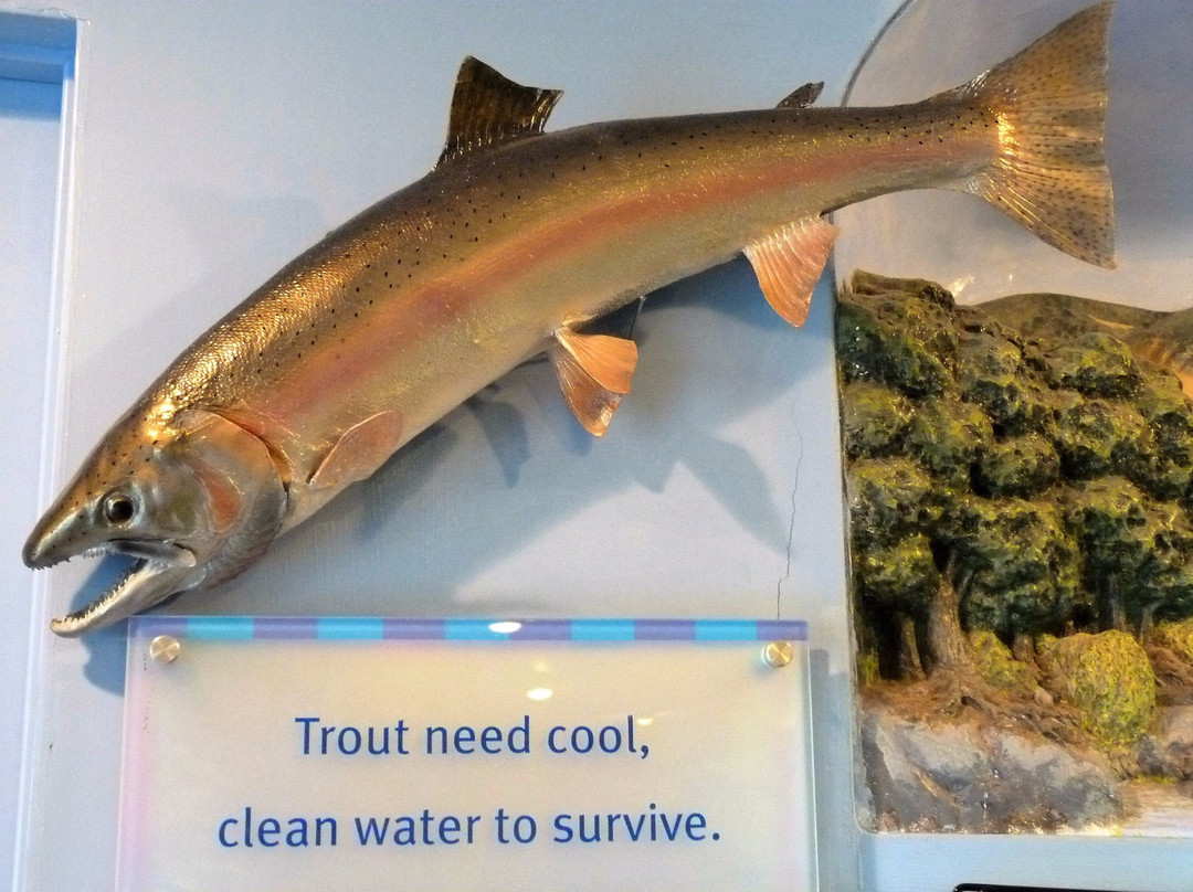 Coastal Discovery Center at San Simeon Bay (Monterey Bay National Marine Sanctuary)景点图片
