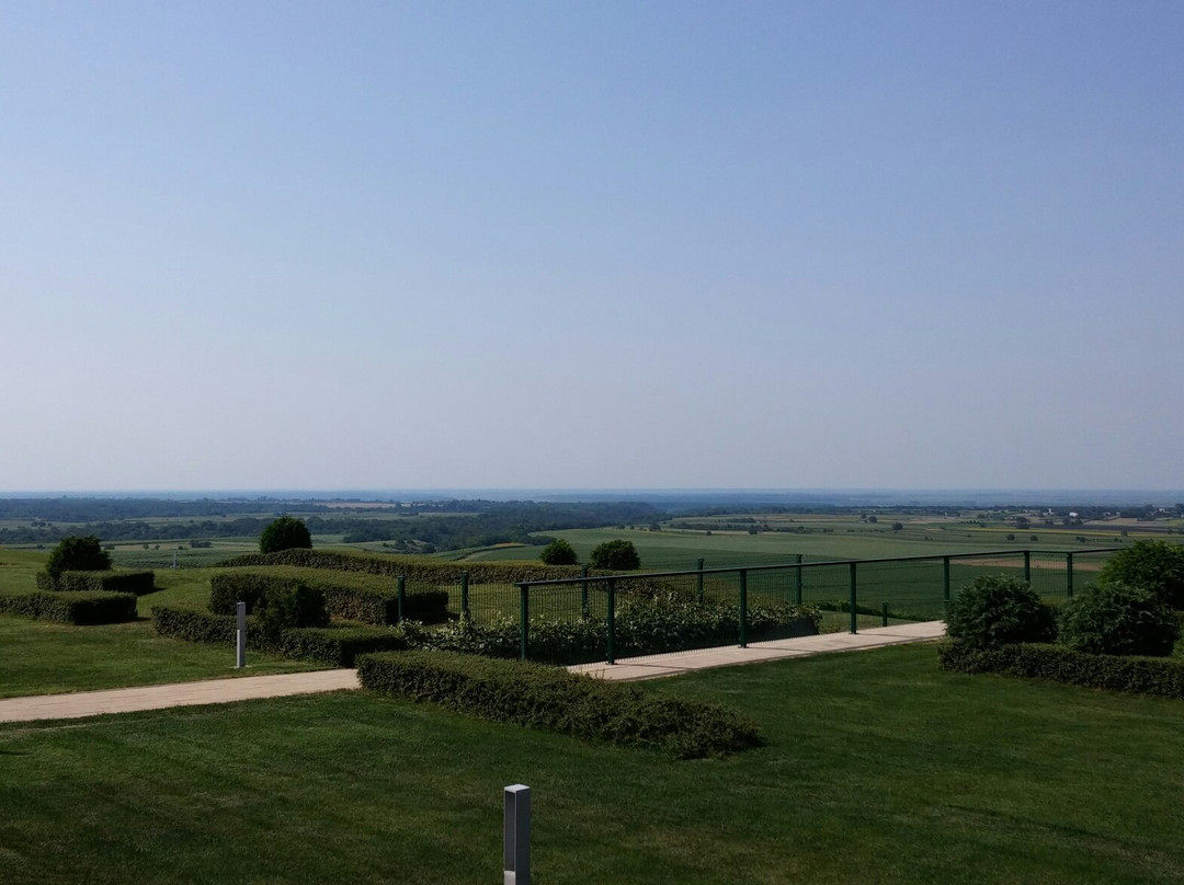 Principovac Country Estate-伊洛克必去景点
