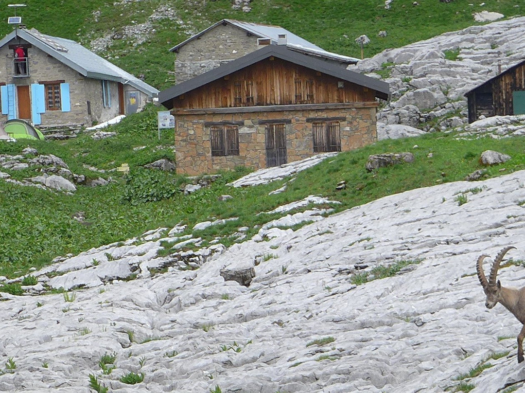 帕西餐馆和美食-Le Refuge de Plate