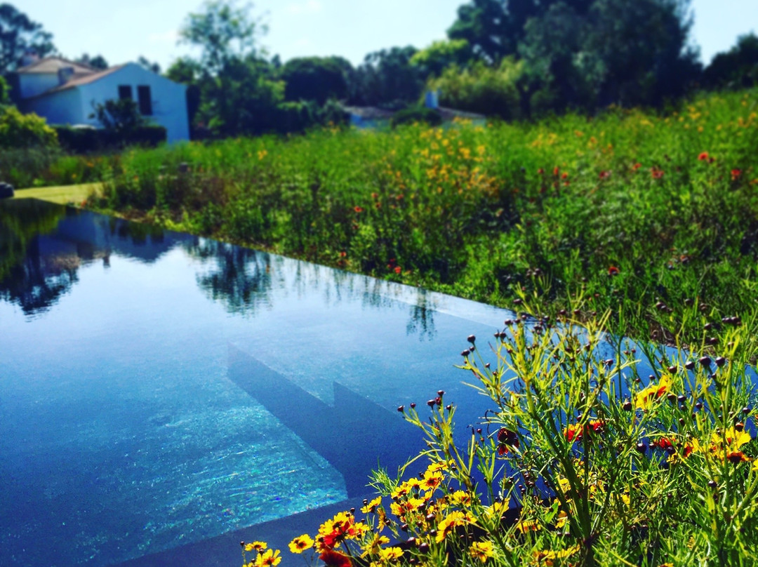 Alfarim酒店住宿-Quinta do Miguel