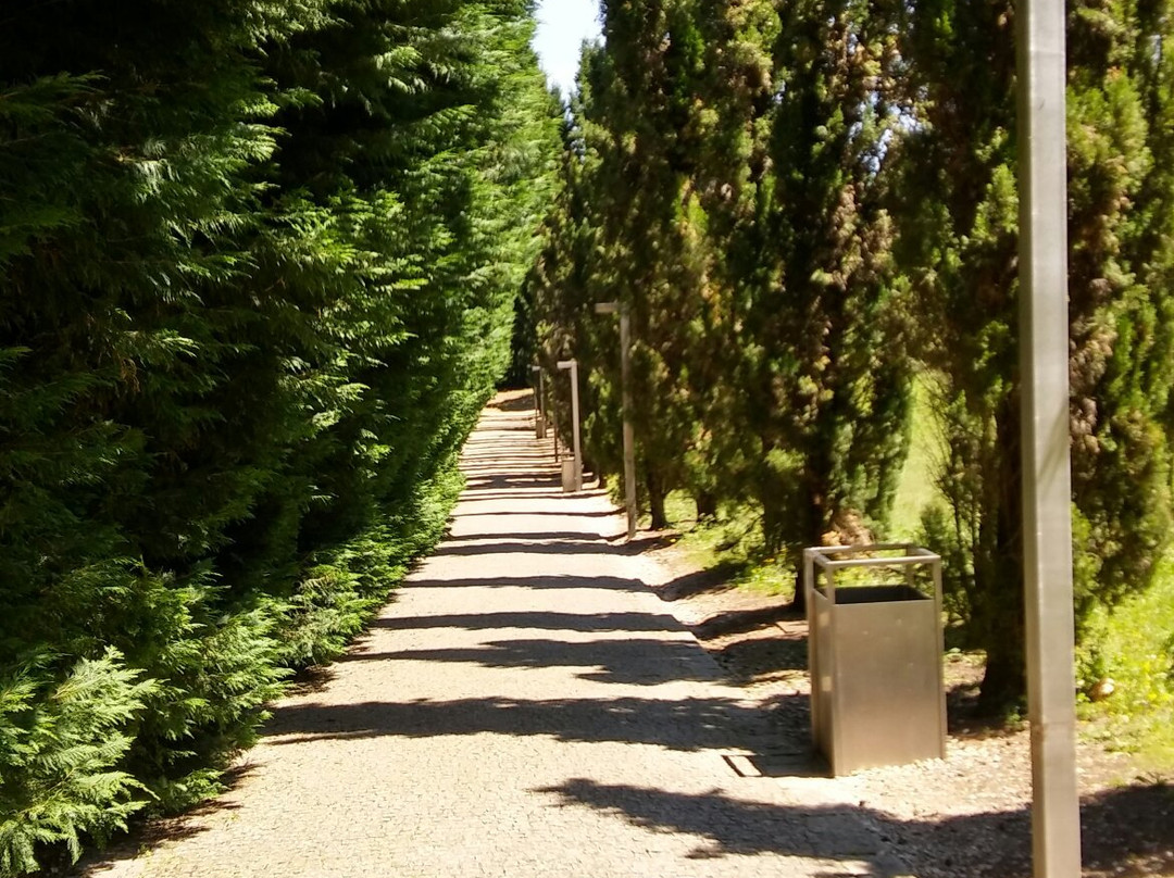 Parque Urbano de Moutidos景点图片