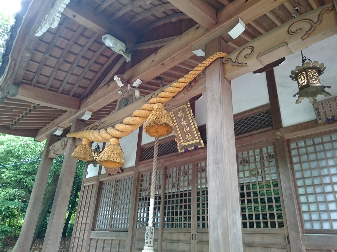 Unomori Park景点图片