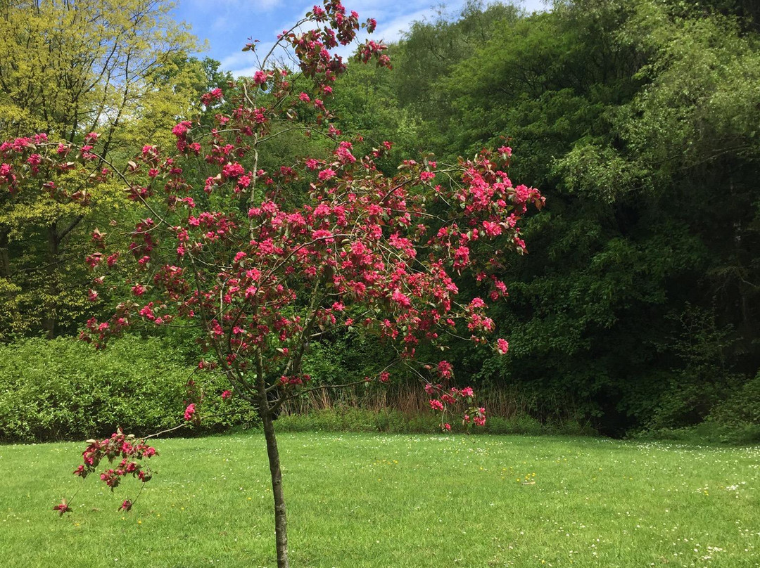 Whirlow Brook Park-谢菲尔德必去景点
